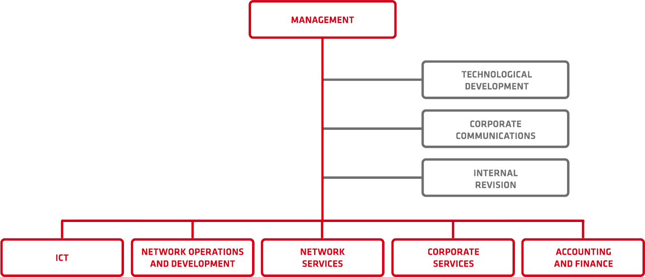 Organization